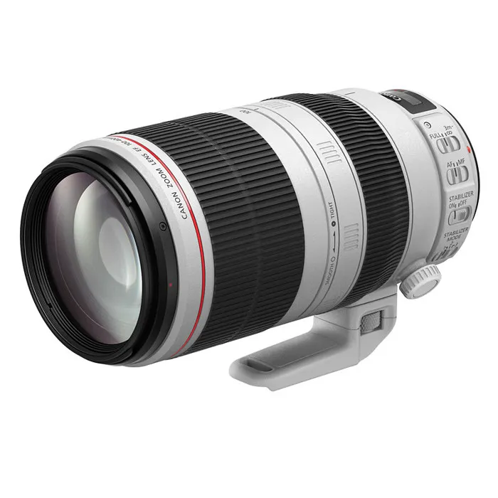 Canon pour reflex objectif ef 100-400mm f/4,5-5,6 l is II usm